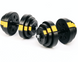 Набір Besport PowerPro гантелі 2 &times; 18,5 кг з лавою WB-002, 37 кг, ABS, жовто-чорна