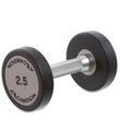 Professional Technogym Fixed Dumbbell with Electroplated Handle, 2.5&ndash;47.5 kg
