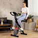 Hop-Sport HS-3030X Apeks X-Bike Exercise Bike, Magnetic, Up to 120 kg, Grey