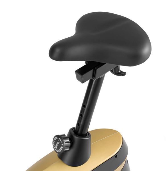 Hop-Sport HS-005H Host Exercise Bike, Electromagnetic, Up to 150 kg, Gold