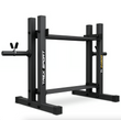 2-Tier Rack for Dumbbells, Weight Plates and Kettlebells TX-045DR