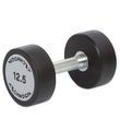 Professional Technogym Fixed Dumbbell with Electroplated Handle, 2.5&ndash;47.5 kg