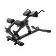 Generation Fitness Back Extension GFH45