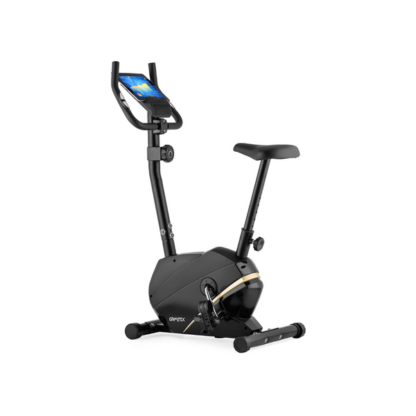 Gymtek XB800 magnetic exercise bike, gold, up to 125 kg, gold-and-black