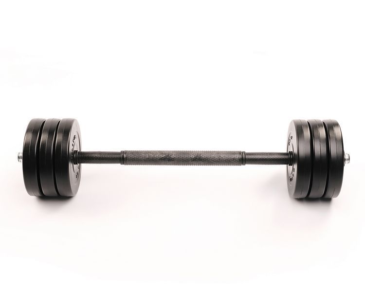 Гантелі Elitum 2 &times; 11 кг + подовжувач грифа для штанги, 22 кг, ABS, чорна