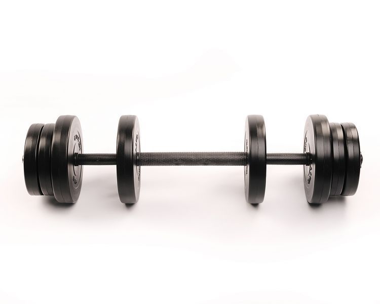 Гантелі Elitum 2 &times; 21 кг + подовжувач грифа для штанги, 42 кг, ABS, чорна
