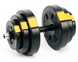 Гантелі розбірні Besport PowerPro 2 &times; 18,5 кг, 37 кг, ABS, жовто-чорна 00-G00000378 фото 3