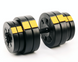 Гантелі розбірні Besport PowerPro 2 &times; 31 кг, 62 кг, ABS, жовто-чорна