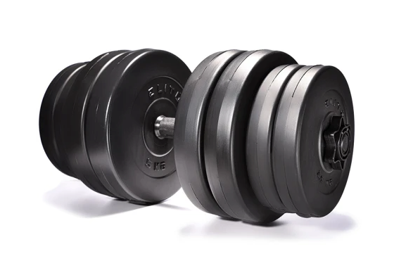 Гантелі Elitum 2 &times; 31 кг, 62 кг, ABS, чорна