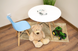Leobert Zubi Children's Chair with Backrest, Blue